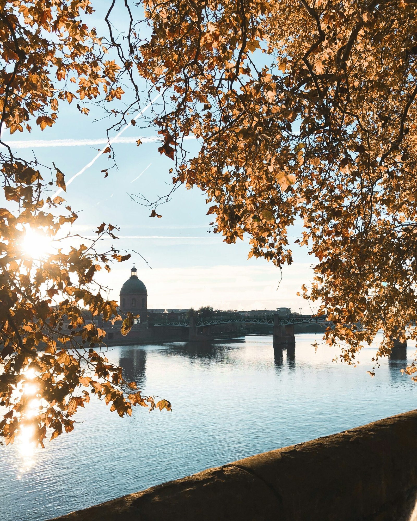 Découvrez la ville rose : Toulouse, entre histoire, culture et modernité